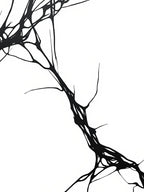 Abstract Black Organic Line Art Rug