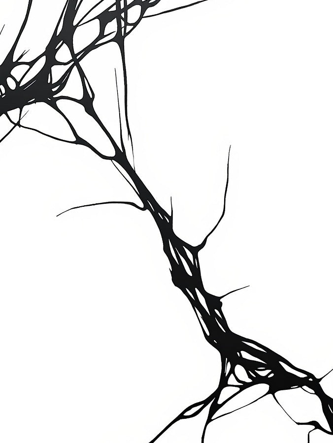 Abstract Black Organic Line Art Rug