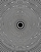 Concentric Black White Optical Rug