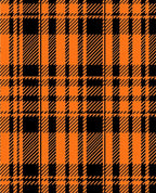 Bold Orange And Black Plaid Design Rug