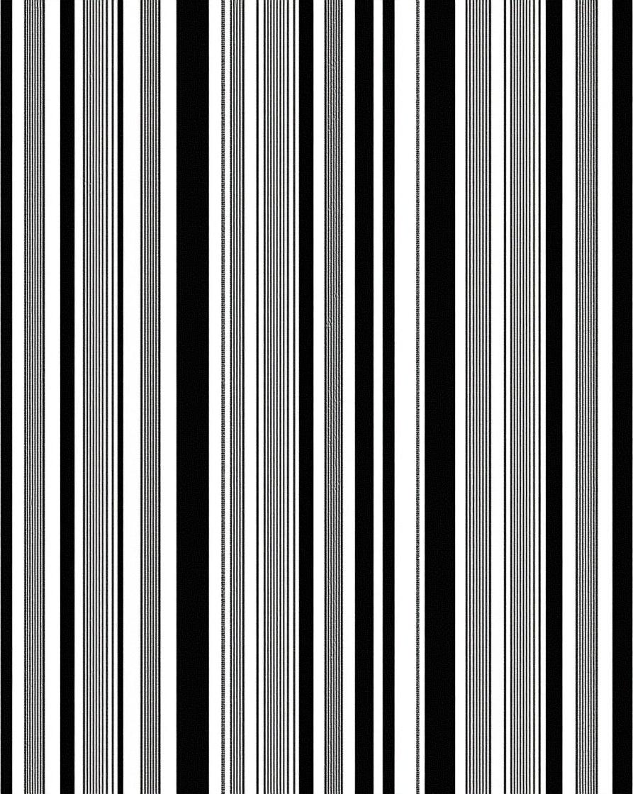 Bold Black White Stripe Pattern Rug