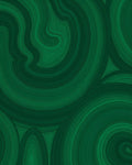 Verdant Swirl Abstract Organic Pattern Rug