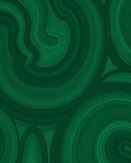Verdant Swirl Abstract Organic Pattern Rug