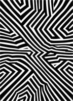 Bold Black White Illusory Stripes Pattern Rug