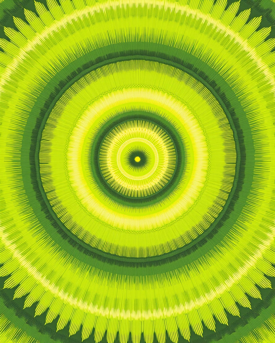 Lime Green Radial Sunburst Pattern Rug