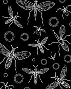 Insect Sunburst Silhouette Design Rug
