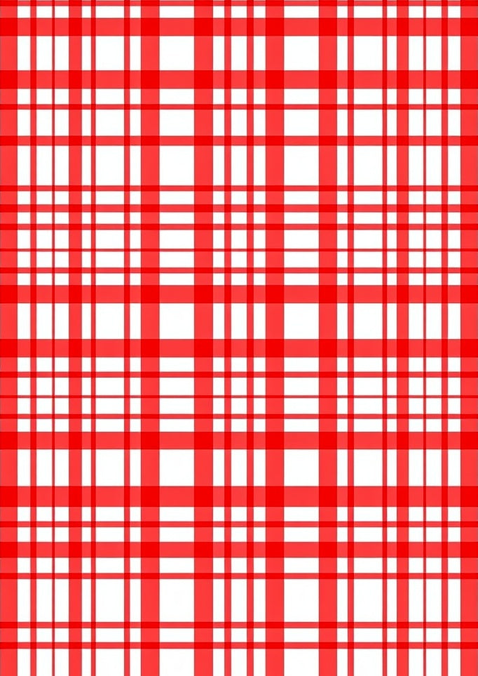 Classic Red Tartan Stripe Design Rug