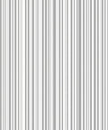 Minimalist Gray White Vertical Stripes Rug