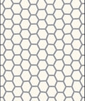 Gray Cream Hexagonal Pattern Rug