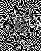 Black White Swirling Organic Pattern Rug