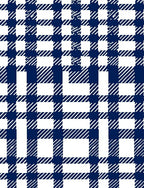 Classic Blue White Plaid Design Rug