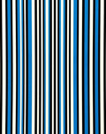 Bold Vertical Stripe Pattern Rug