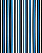 Bold Vertical Stripe Pattern Rug