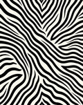 Black White Zebra Stripe Patterned Rug
