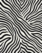 Black White Zebra Stripe Patterned Rug