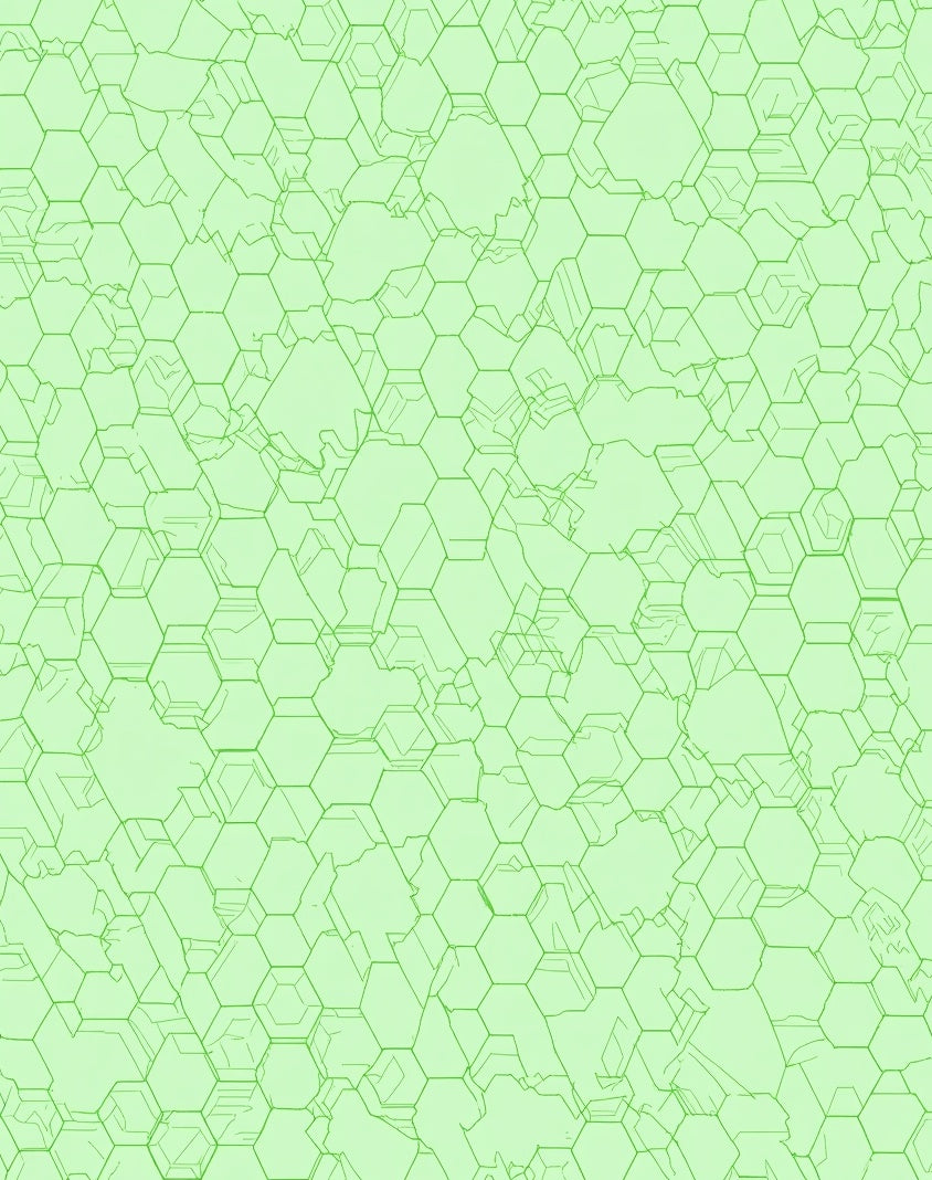 Green Outline Hexagon Patterned Rug