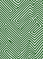Green And White Maze Pattern Rug