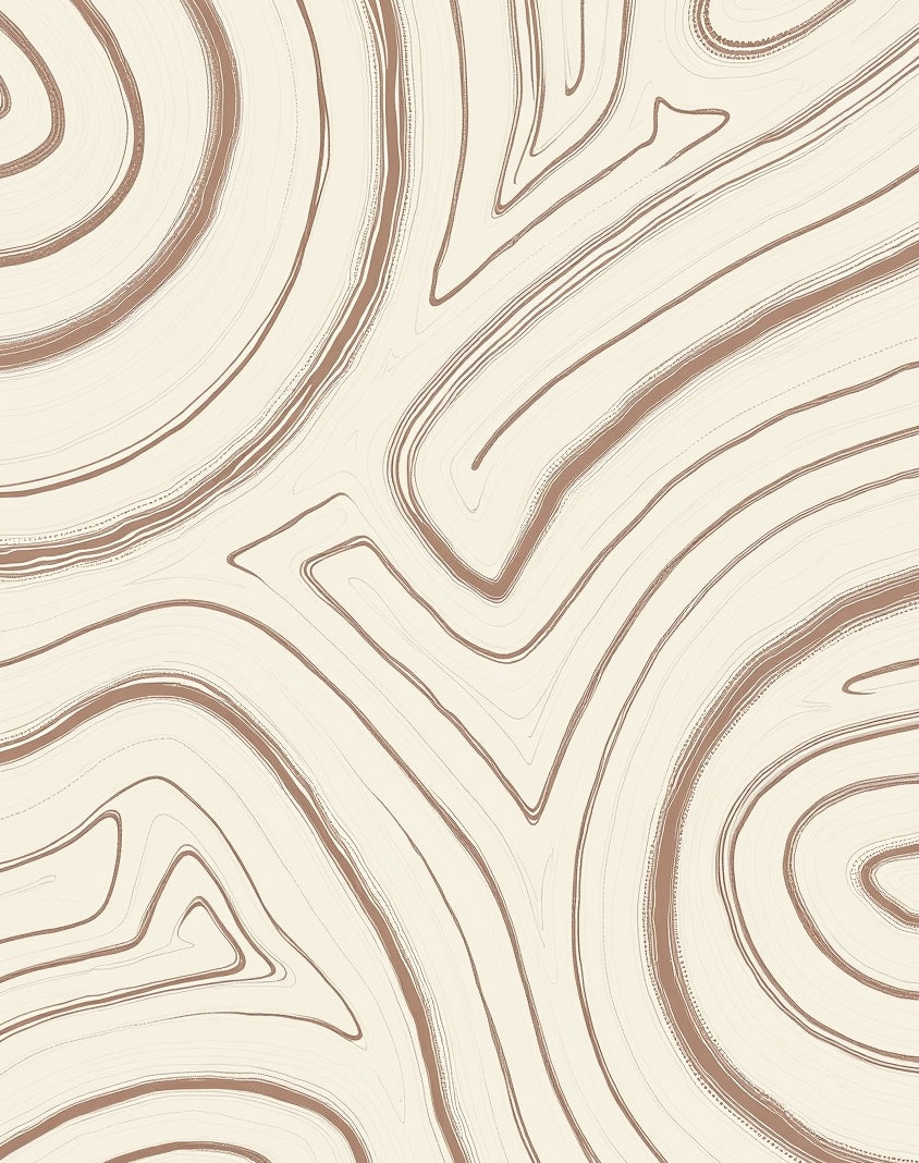 Abstract Swirl Pattern Cream Brown Rug
