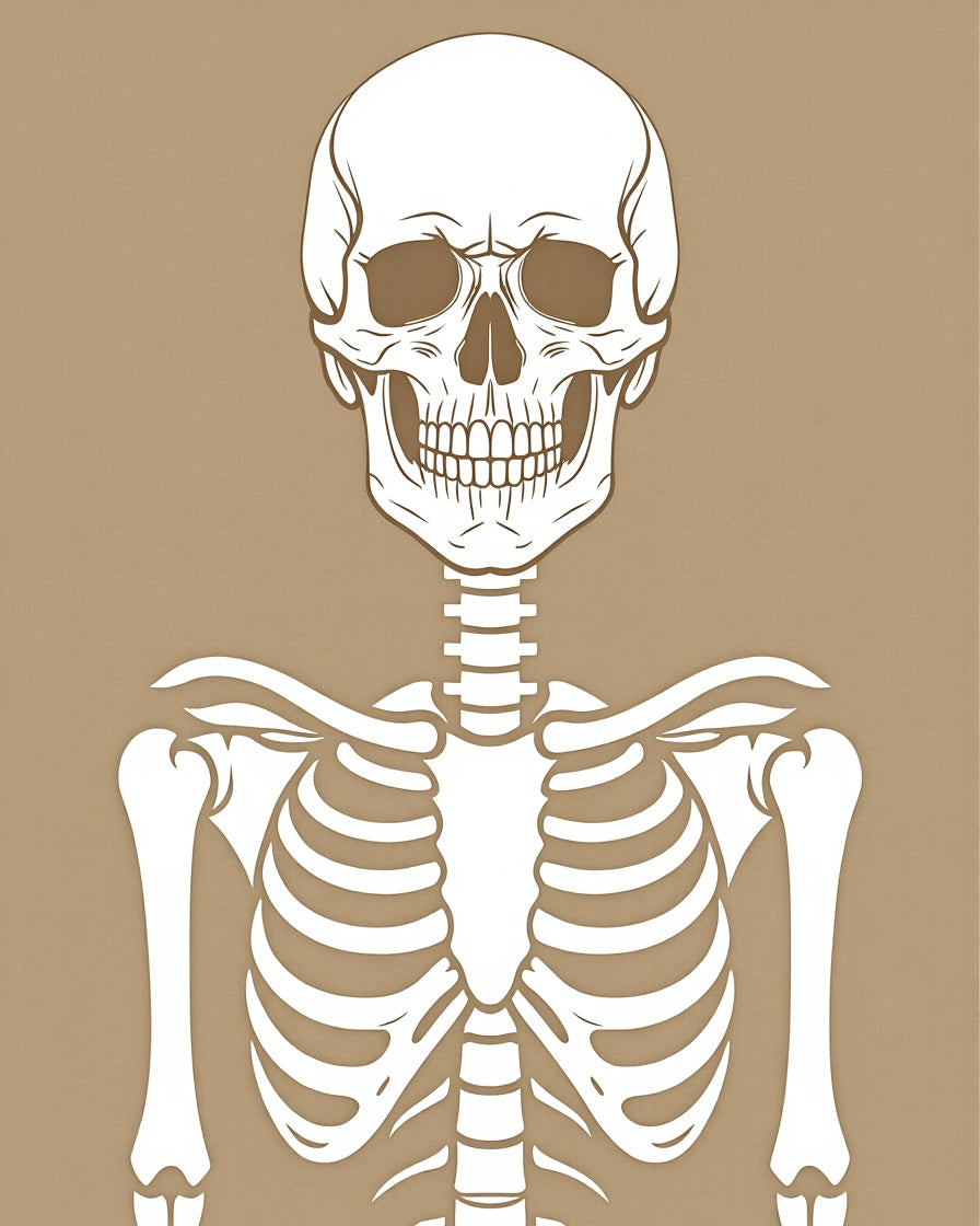 White Skeleton Graphic Print Rug