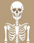 White Skeleton Graphic Print Rug