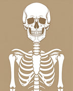 White Skeleton Graphic Print Rug