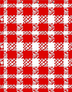Red White Bold Checkered Pattern Rug