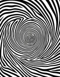 Black White Optical Illusion Swirl Rug