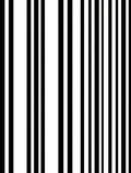 Black White Vertical Stripe Design Rug