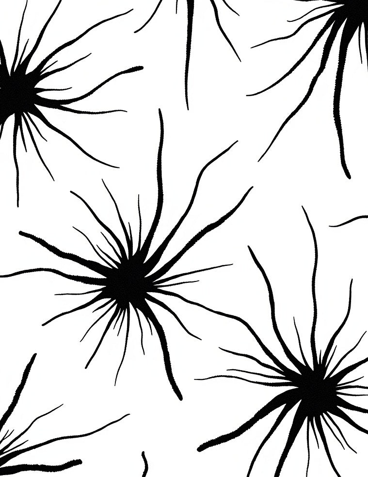Abstract Starburst Black White Pattern Rug