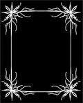 Ornate Snowflake Inspired Border Design Rug