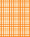 Bright Orange White Gingham Pattern Rug