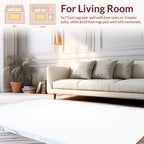 Delicate Floral Scrolls Border Design Rug