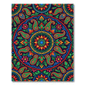 Vibrant Multicolored Paisley Floral Medallion Rug