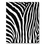 Bold Monochrome Zebra Lines Area Rug