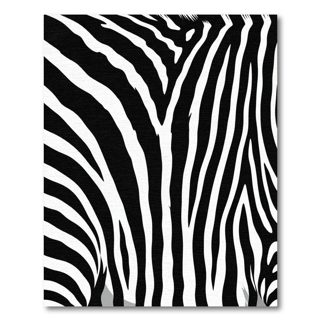 Bold Monochrome Zebra Lines Area Rug