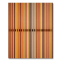 Orange Toned Vertical Stripe Texture Rug