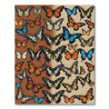 Vibrant Dual Tone Butterfly Garden Field Rug