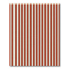 Bold Orange White Pinstripe Stripes Rug