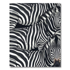 Bold Black White Zebra Stripe Collage Rug