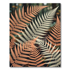 Coral Ivory Fern Frond Arrangement Rug