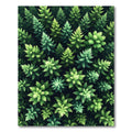 Lush Verdant Pine Forest Canopy Rug