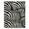 Bold Zebra Stripe Texture Rug