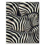 Bold Zebra Stripe Texture Rug