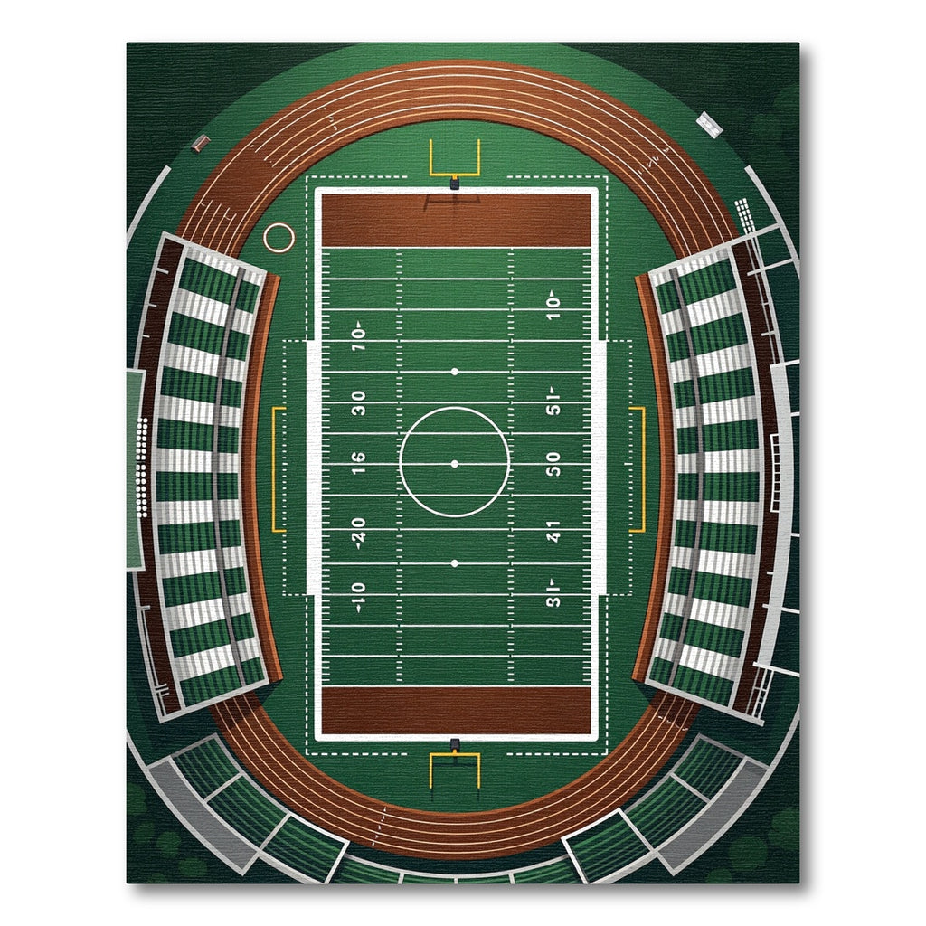 Green Stadium Football Field Overhead View Rug