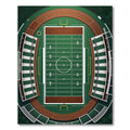 Green Stadium Football Field Overhead View Rug