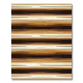 Rich Earth Tone Horizontal Stroke Rug